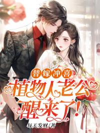 陸芯暖顧行陽封面