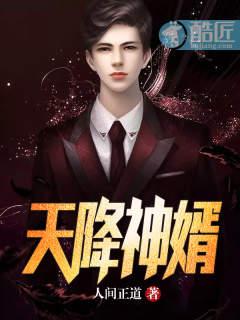天降神婿封面