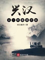 興漢從一杯毒酒開始封面