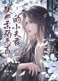朕那柔弱惡毒的小夫君封面