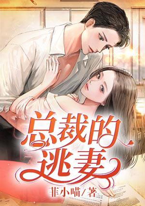 總裁的逃妻封面