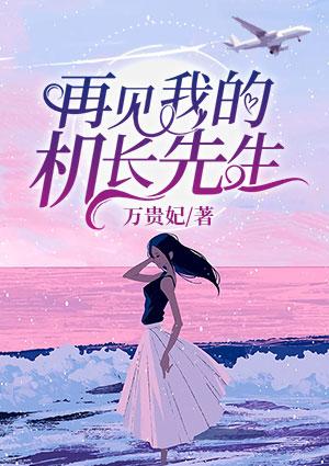 再見我的機(jī)長(zhǎng)先生封面