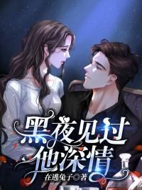 黑夜見過他深情宋襄嚴(yán)歷寒封面
