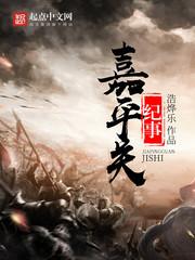 嘉平關(guān)紀事封面