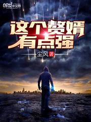 這個贅婿有點(diǎn)強(qiáng)封面