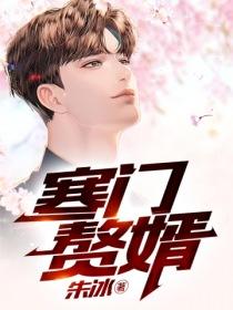 寒門贅婿封面
