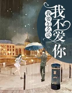 我要怎么說我不愛你封面