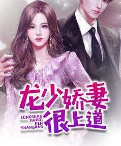 龍少嬌妻很上道小說封面