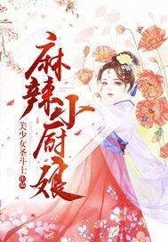 程念卿沈時初你是我的星辰大海封面