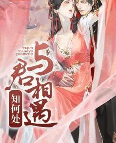 與君相遇知何處封面