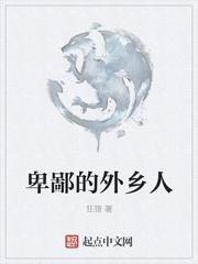 卑鄙的外鄉(xiāng)人封面