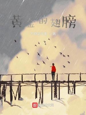 黃金的翅膀封面