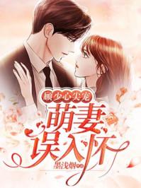 顧少心尖寵：萌妻誤入懷封面
